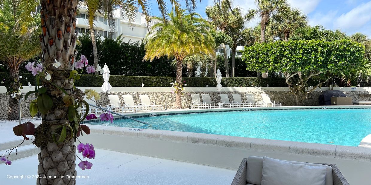 Pool at the Regency, 2760 S Ocean Blvd., Palm Beach, palm trees, gardens
