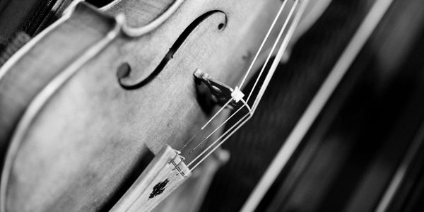 Photo credit: Daniel Johnson Gray