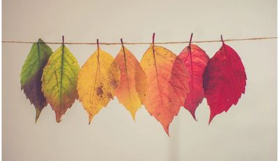 Change Management, Smart Grid Consulting, Smart Grid Technologies, and Utility Contractor