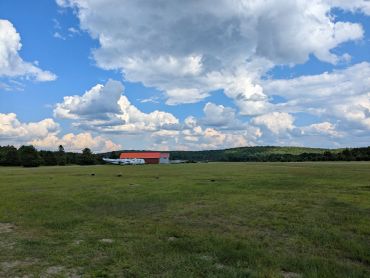Open grassy field with a distant barn and cloudy sky.