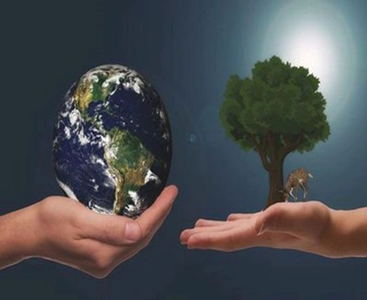 Hands holding Earth and a tree with a giraffe, symbolizing nature and planet care.