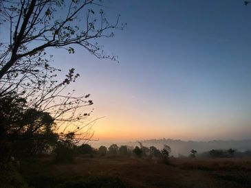 Serene sunrise over a misty landscape with silhouetted trees.