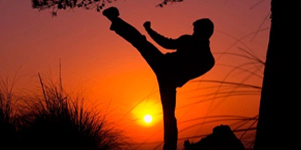 Karate Kick