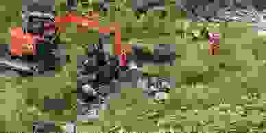 image66
