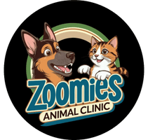 Zoomies Animal Clinic