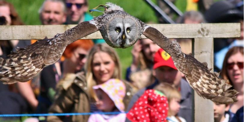 North Somerset Bird of Prey Centre