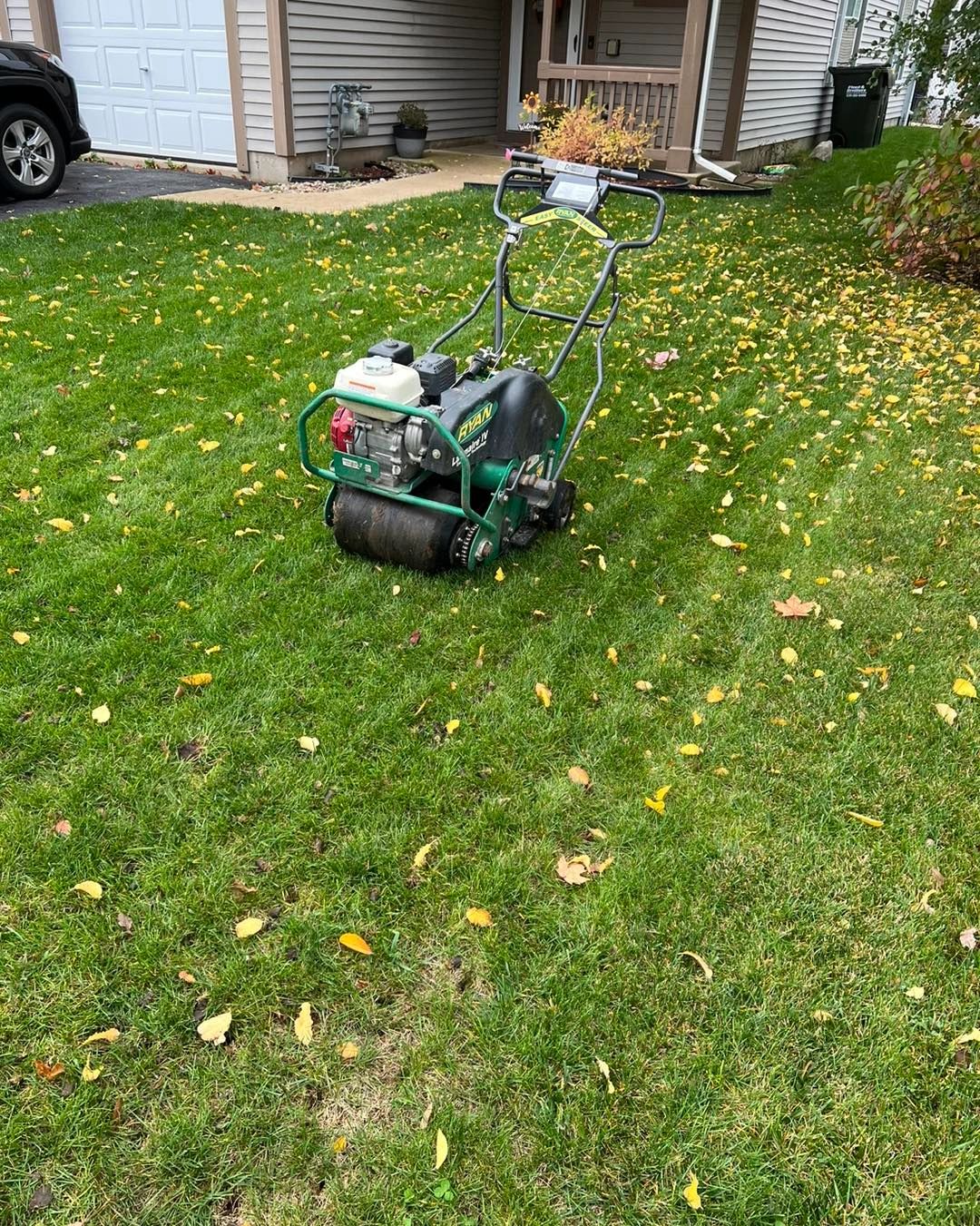 Aeration vs. Dethatching