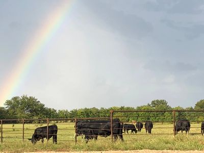 Our beef is hormone, steroid, and antibiotic free.