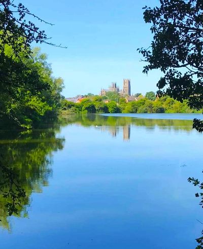 Ely cathedral in the distance looking through trees over a flat calm lake.