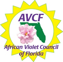African Violet Council of Florida