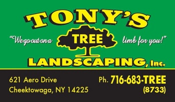 Tony's Tree and Landscaping