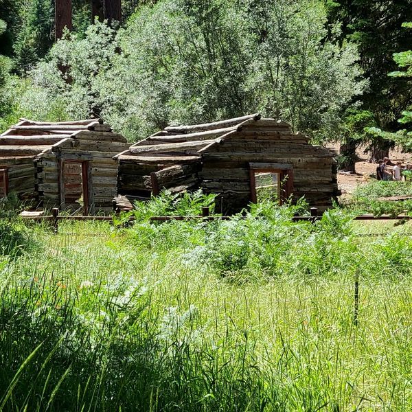 Historical Cabins.