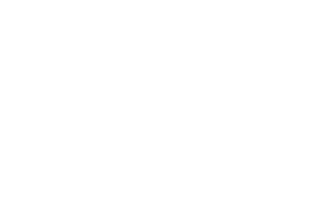 Nicholas M. Gerardi II, REALTOR®