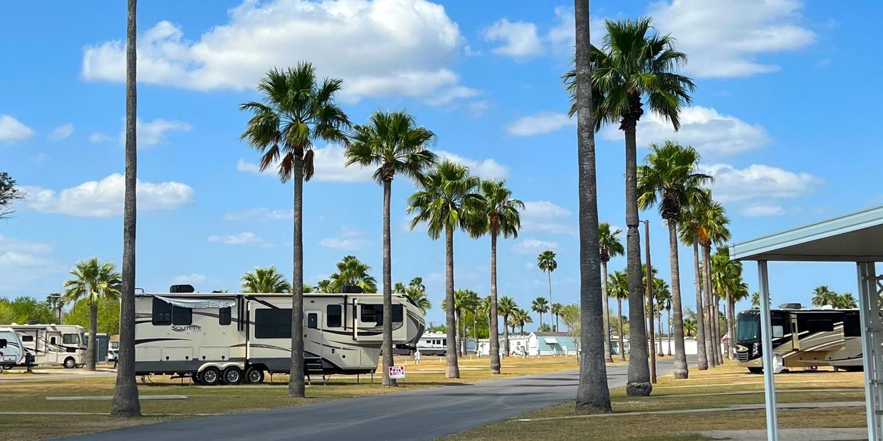 Palm Trees line the paved streets at Park Place Estates RV Resort