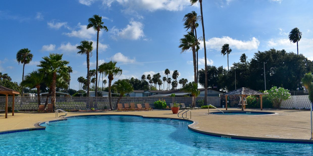 Luxury resort pool surrounded by palm trees and sun loungers on a sunny day