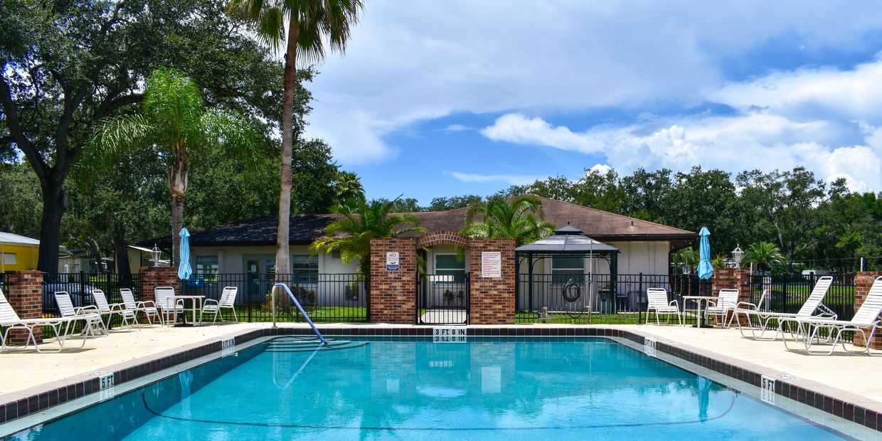 Summer vacation pool with palm trees and cozy sunbeds under clear skies