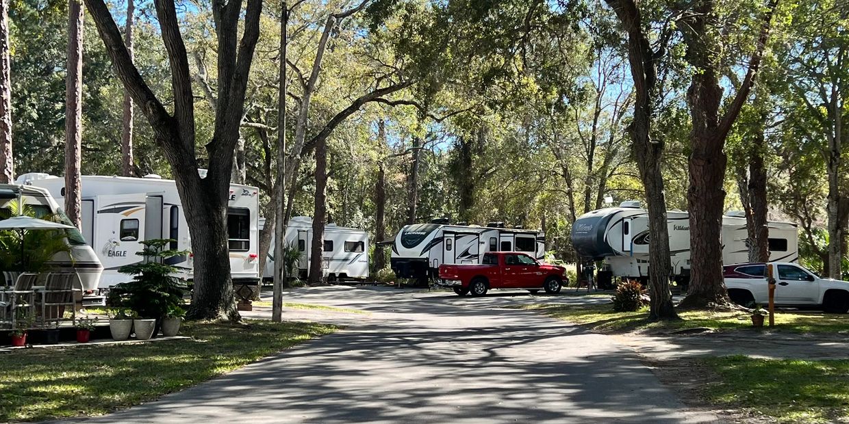 Get close to nature in the natural setting at Oak Springs RV Resort. 