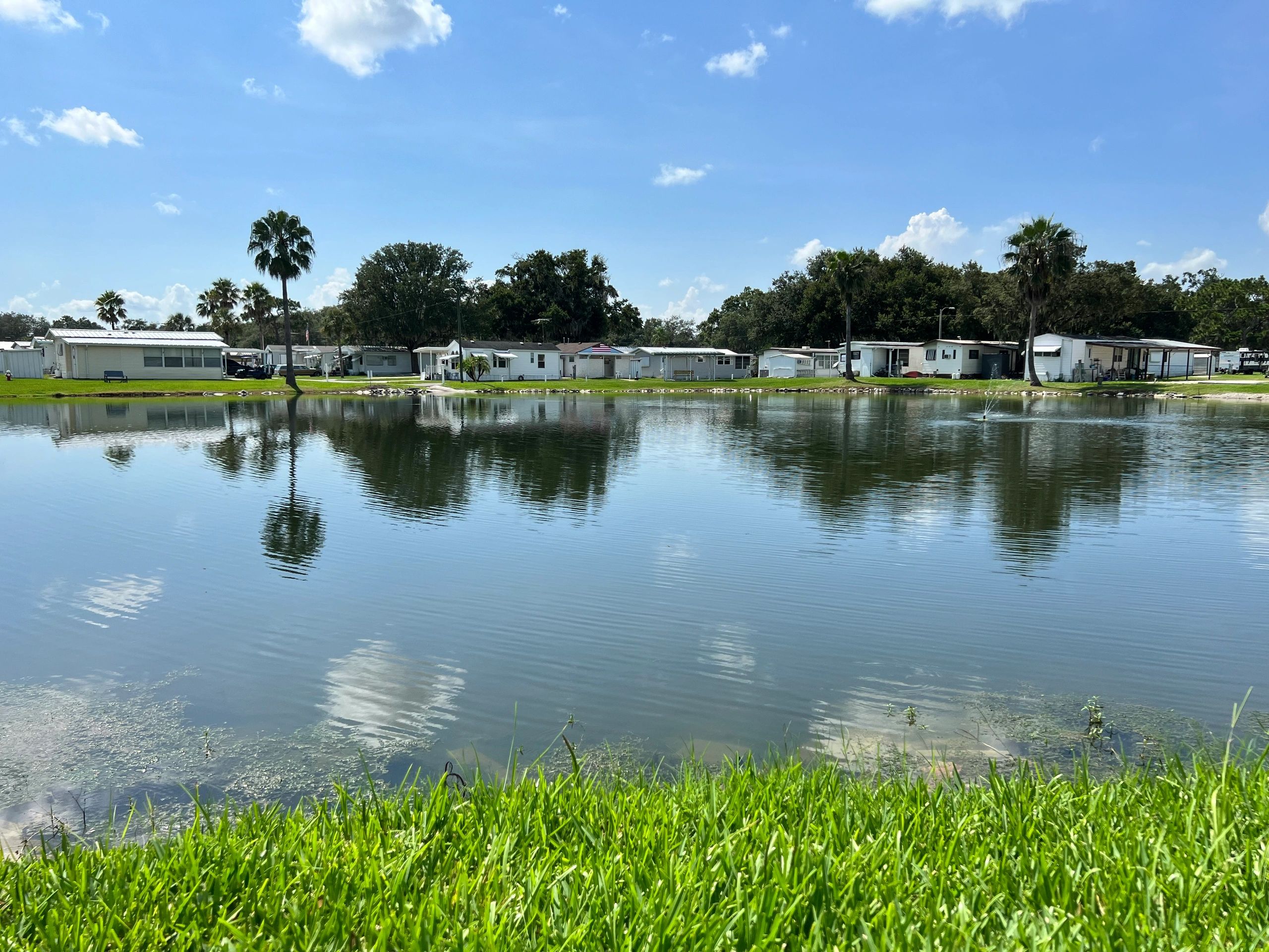 Palm View Gardens RV Resort: Ultimate Relaxation Spot
