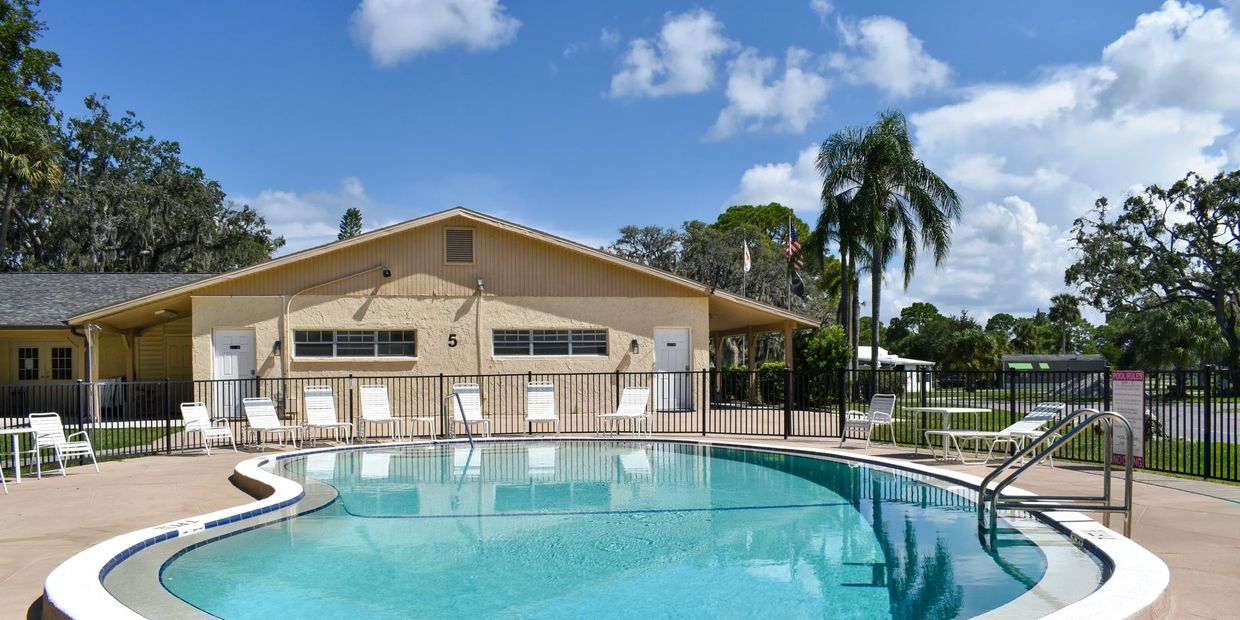 Relaxing poolside scene with lounge chairs, palm trees, and sunny weather