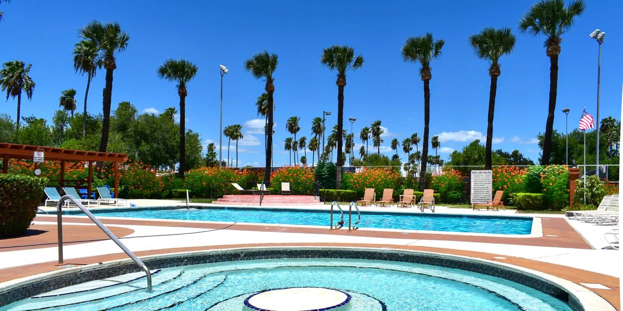 Outdoor swimming pool with lounge chairs under palm trees and clear blue sky
