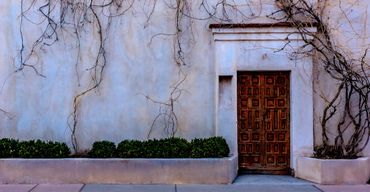 twilight, ornate door, vine-covered wall