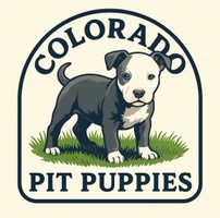 Colorado Pit Puppy's