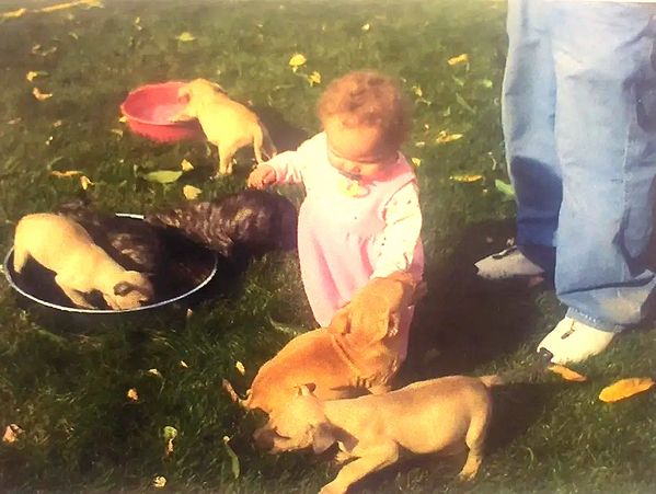 Pitbull Puppy's with baby