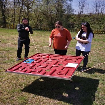 survivor masa labirenti kiralama