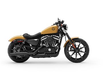 HARLEY DAVIDSON- Sportster iron 883