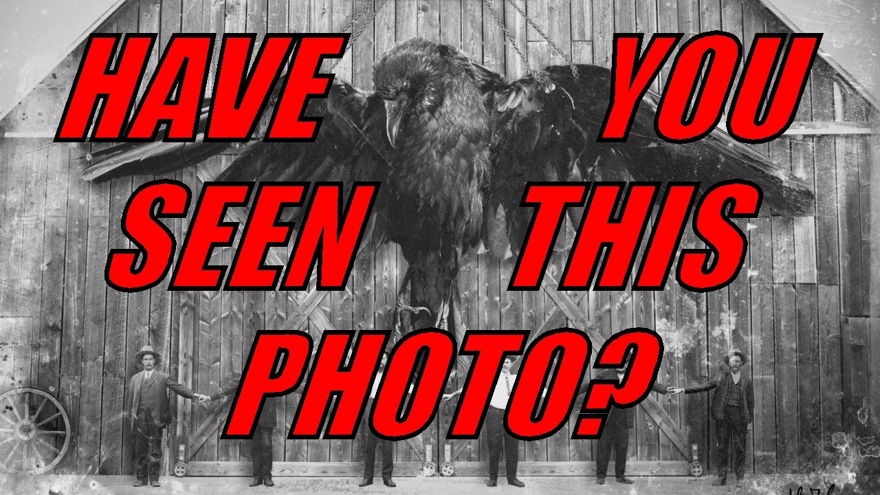The Missing Thunderbird Photo Mystery (Are Any of These Real?)