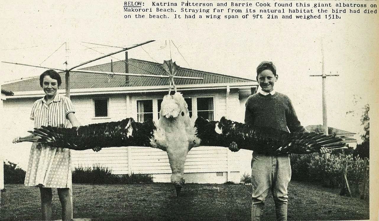 Mourning a Friend and Fellow Thunderbird Photo Researcher