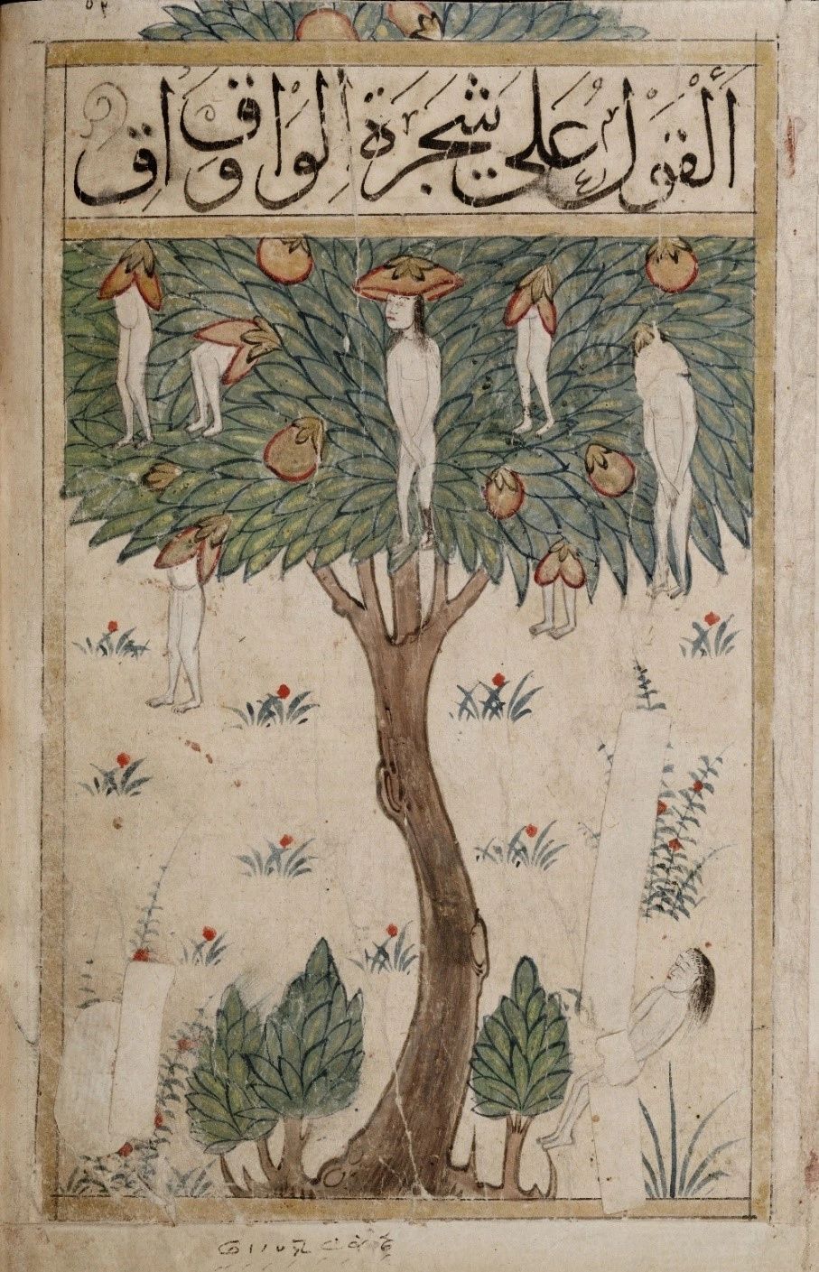 Illustration of the Wāq Wāq Tree from the Kitāb al-Bulhān (Book of Wonders), a 14th-15th Century, illustrated Arabic manuscript covering subjects such as astronomy, astrology, geomancy and folklore. Image scan courtesy of Oxford University's Bodleian Library.