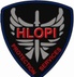 Hlopi's Security Training Centre
