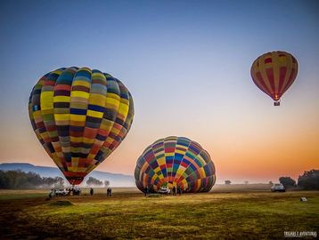 Bill Harrops Balloon Safari