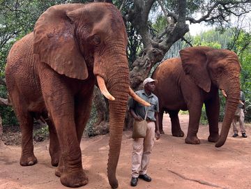 Elephant Sanctuary