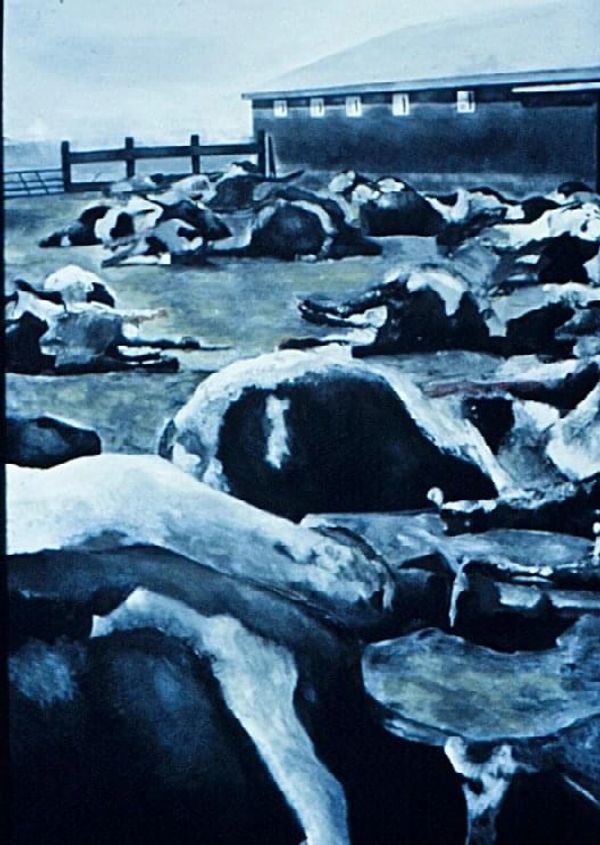 Dead Cows 
Acrylic on Canvas