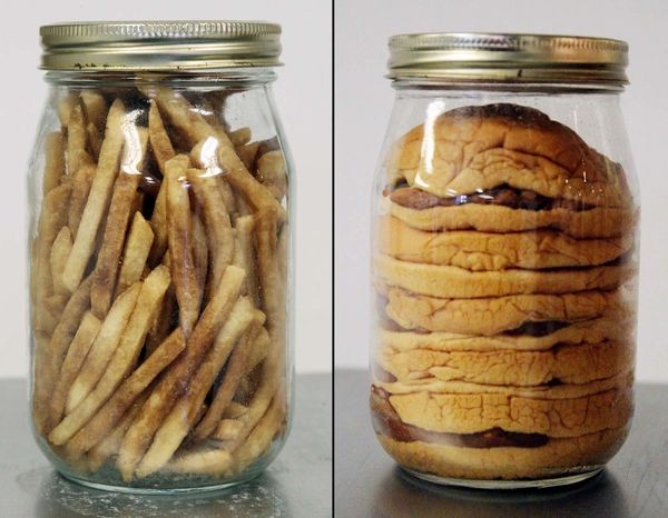 Preserved: McDonalds Cheeseburgers and French Fries
Mixed Media
