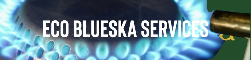 Eco Blue Ska