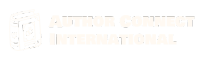 Author Connect International