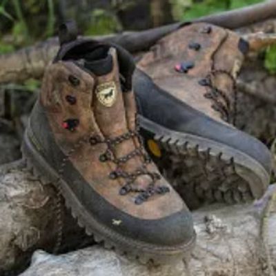 Irish Setter boots outside on a log