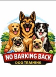 Not your average dog training!