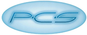 Precision Consulting Services