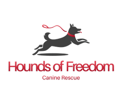 Hound Of Freedom