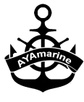 Marine Surveys