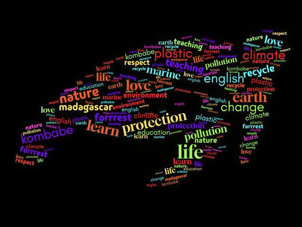 Environmental Education word art in shape of a Turtle 