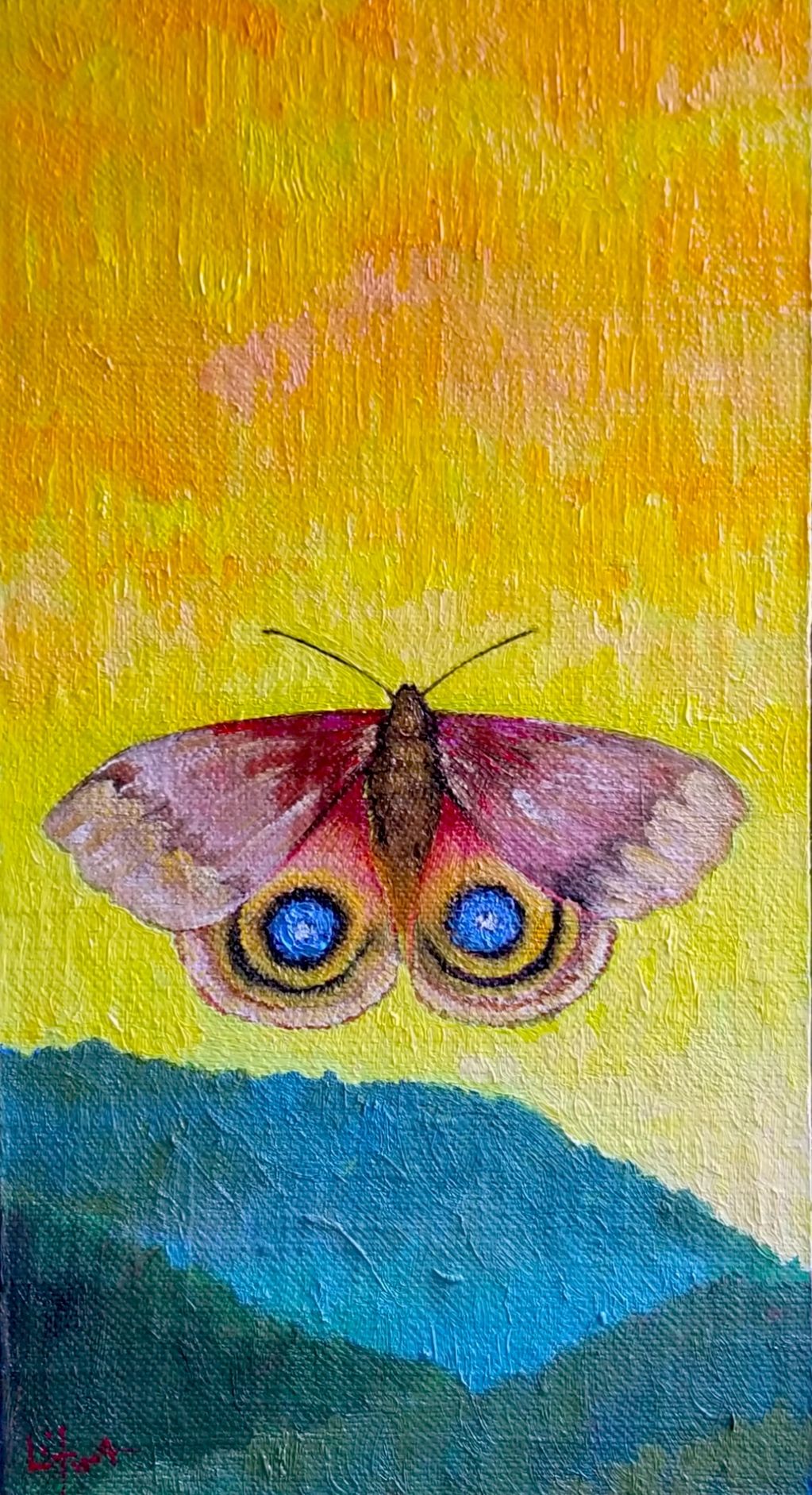"Bullseye Moth" 12"x 6" Oil on Canvas