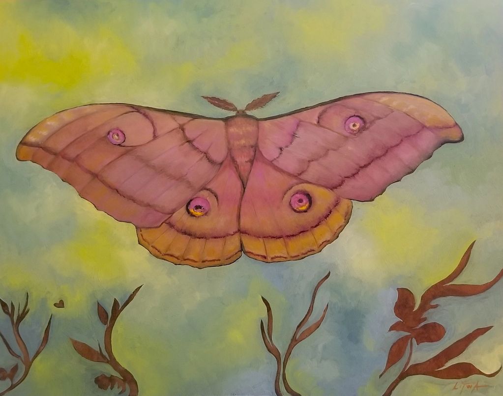 "Japanese Silk Moth" Oil on Panel 11"x14"
