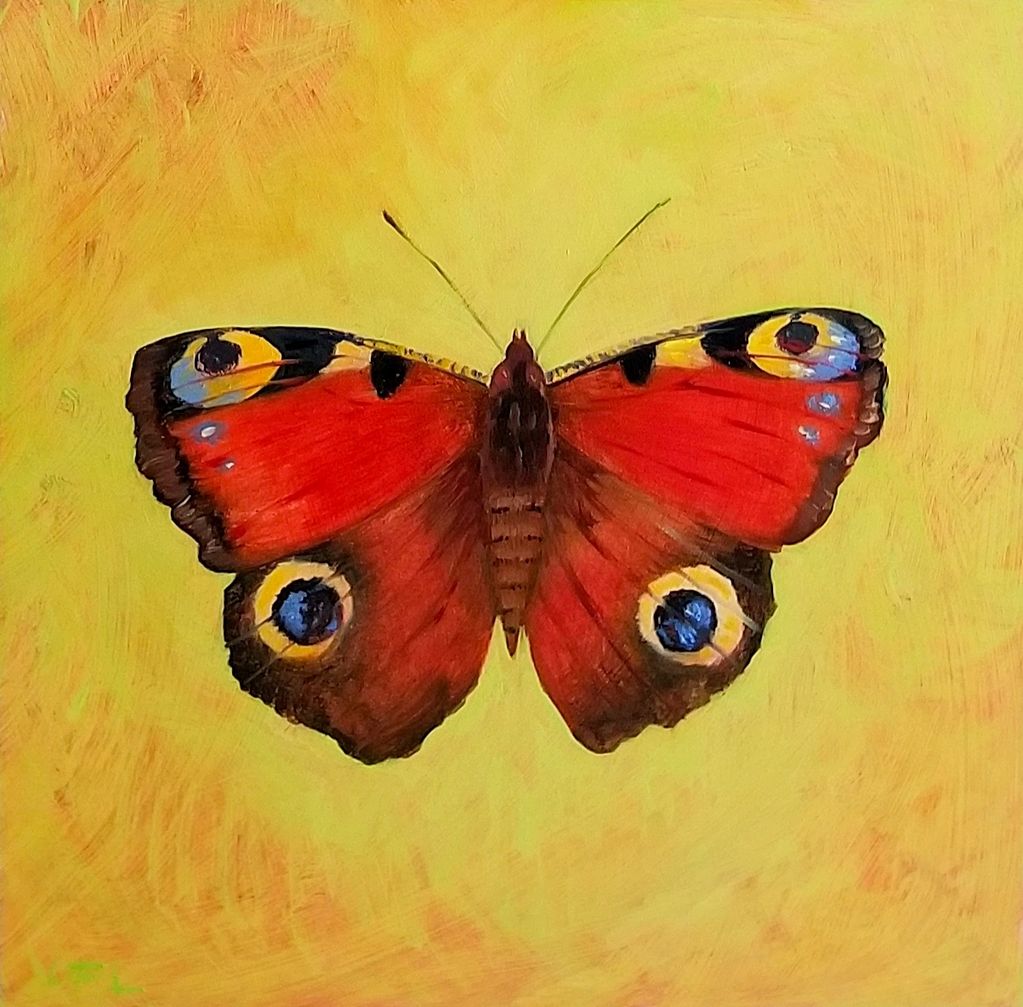 "Peacock Moth" 10"x10"x2" Oil on Panel