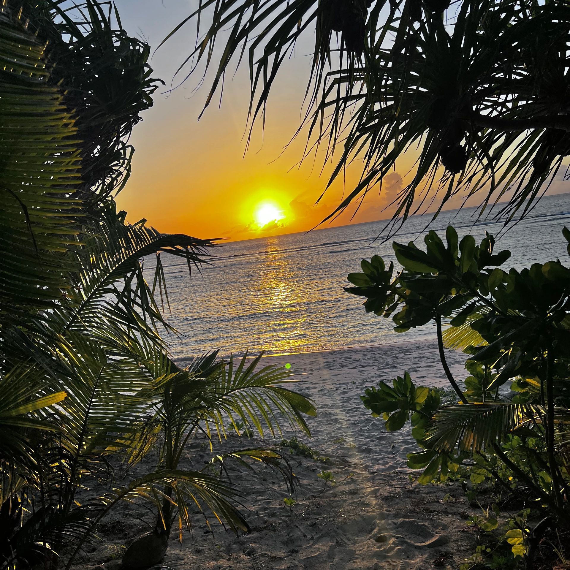View of sunsetting on Urunao Beach