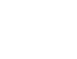 The Drawing Foundation